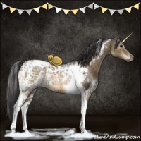 Horse Color:White Spotted Buckskin Ice Dun Tobiano Rabicano Brindle 