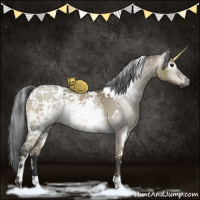 Horse Color:Gray White Spotted Smoky Grullo Ice Brindle 