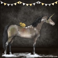 Horse Color:White Spotted Brown Dun Mushroom Brindle 