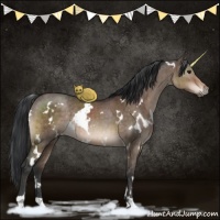 Horse Color:White Spotted Brown Dun Rabicano Brindle