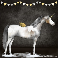 Horse Color:Gray White Spotted Brown Dun Sabino Rabicano Brindle 