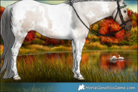 Horse Color:White Spotted Liver Red Dun Tobiano 