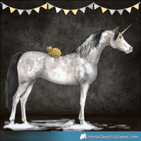 Horse Color:White Spotted Brown Ice Dun Mushroom Sabino Brindle