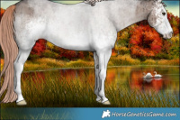 Horse Color:White Spotted Liver Red Dun Roan Rabicano Brindle