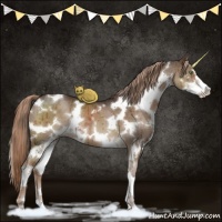 Horse Color:White Spotted Liver Red Dun Sabino Brindle