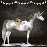 Horse Color:White Spotted Liver Red Dun Ice Mushroom Sabino Brindle 