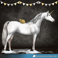 Horse Color:Gray White Spotted Liver Red Dun Ice Mushroom Rabicano 
