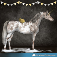 Horse Color:White Spotted Liver Red Dun Ice Mushroom Brindle 