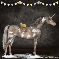 Horse Color:White Spotted Liver Red Dun Ice Mushroom Brindle 