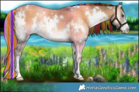 Horse Color:Painted Plaid  White Spotted Liver Red Dun Onyx Sabino 