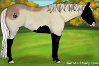 Horse Color:ERROR: UNKNOWN ANOMALY