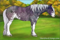 Horse Color:Watercolor Silver Brown Ice Sabino 