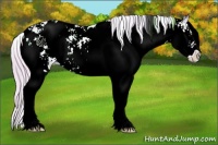 Horse Color:Watercolor Silver Grullo Ice Onyx Sabino 