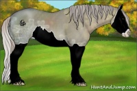 Horse Color:Silver Grullo Ice Splash 