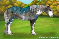 Horse Color:Silver Blue Onyx Ice Sabino 
