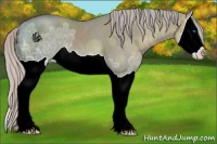 Horse Color:Silver Grullo Ice Splash 