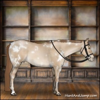 Horse Color:White Spotted Liver Red Dun Pearl
