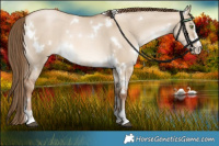 Horse Color:White Spotted Liver Red Dun Pearl 