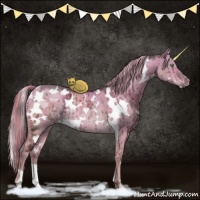 Horse Color:White Spotted Chocolate Palomino Ice Dun Rabicano Brindle
