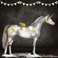 Horse Color:Gray White Spotted Chocolate Palomino Ice Dun Rabicano Brindle 
