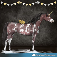 Horse Color:White Spotted Smoky Grullo Sabino Rabicano
