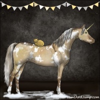 Horse Color:White Spotted Chocolate Palomino Dun 