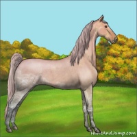 Horse Color:Silver Brown Ice Roan Dun 