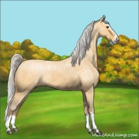 Horse Color:Silver Buckskin Ice Roan Splash 