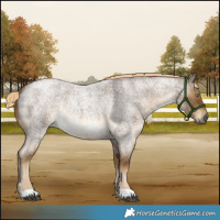 Horse Color:Chocolate Palomino Roan Mushroom Rabicano