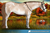 Horse Color:White Spotted Liver Red Dun Pearl Rabicano