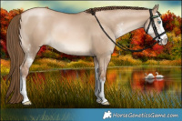 Horse Color:Liver Red Dun Pearl Sabino 