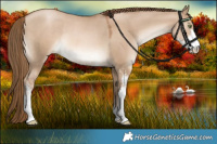 Horse Color:Liver Red Dun Pearl Sabino Rabicano 