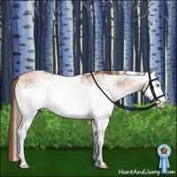 Horse Color:White Spotted Liver Red Dun Roan Pearl Rabicano Brindle