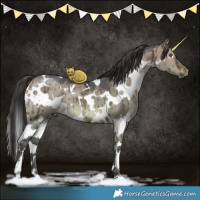 Horse Color:White Spotted Brown Ice Dun Brindle 