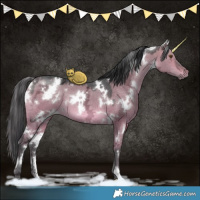 Horse Color:White Spotted Brown Ice Dun 