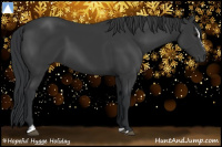 Horse Color:Black Sabino 