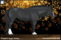 Horse Color:Black Sabino 