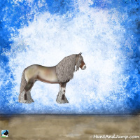 Horse Color:Silver Blue Onyx Rabicano