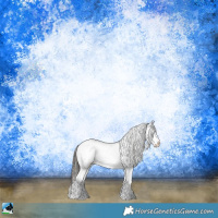 Horse Color:Liver Chestnut Sabino Rabicano 