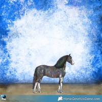 Horse Color:Nacre Brown Ice Sabino Rabicano 