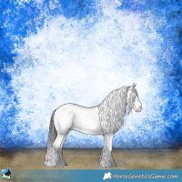 Horse Color:Black Sabino Rabicano