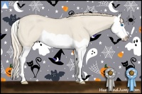 Horse Color:Smoky Creme Dun Splash 