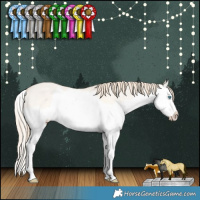 Horse Color:Perlino Dun Splash 