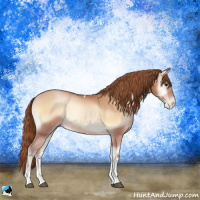 Horse Color:Bay Pearl Onyx Tobiano 
