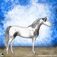 Horse Color:Blue Onyx Splash Tobiano