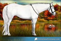 Horse Color:White Spotted Cremello Mushroom Splash Tobiano 