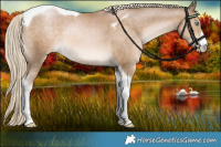 Horse Color:White Spotted Chocolate Palomino Pearl Tobiano
