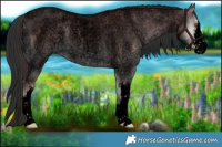 Horse Color:Void White Spotted Liver Red Dun Roan Onyx 