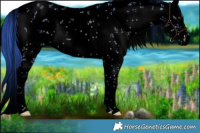 Horse Color:Void Watercolor White Spotted Liver Red Dun Onyx Sabino Brindle