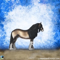 Horse Color:Brown Onyx Rabicano